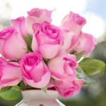 fleurs